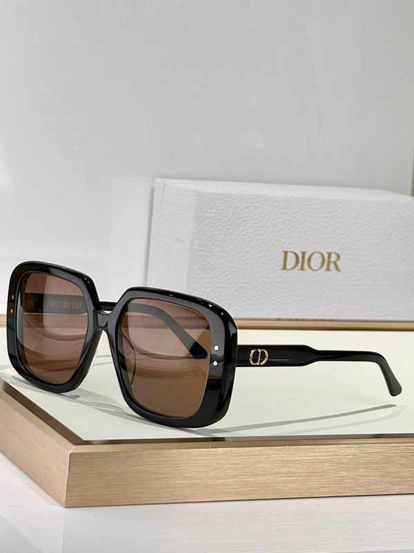 Dior Glasses smr (551)