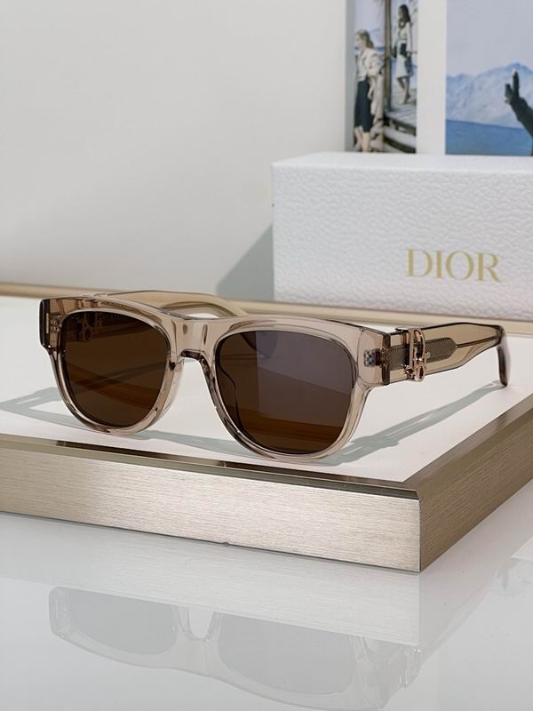 Dior Glasses smr (558)