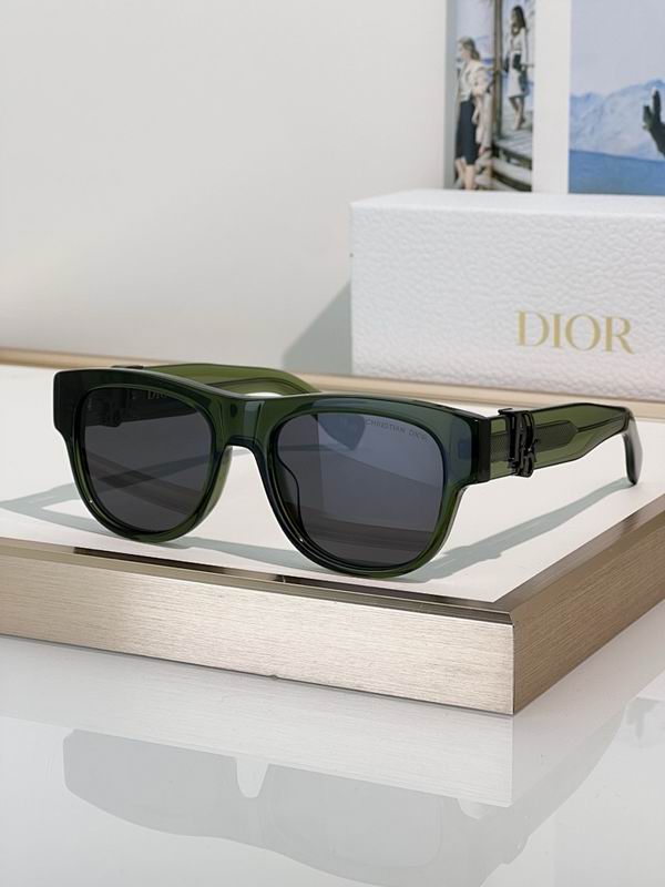 Dior Glasses smr (559)