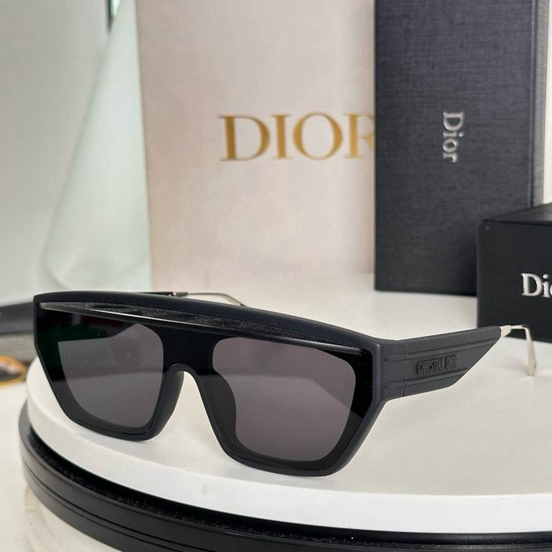 Dior Glasses smr (57)