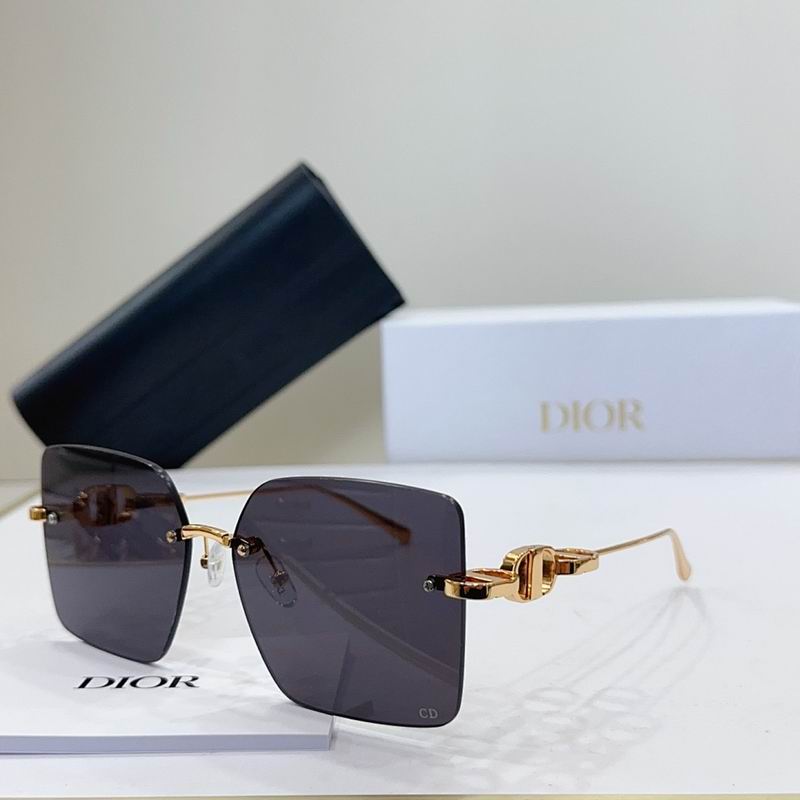Dior Glasses smr (591)