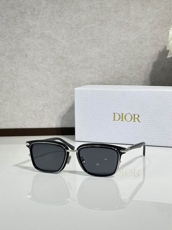 Dior Glasses smr (61)