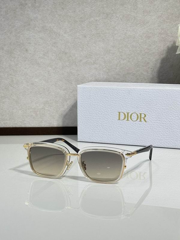 Dior Glasses smr (62)
