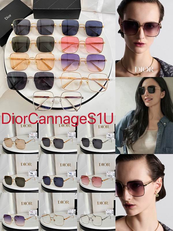 Dior Glasses smr (622)