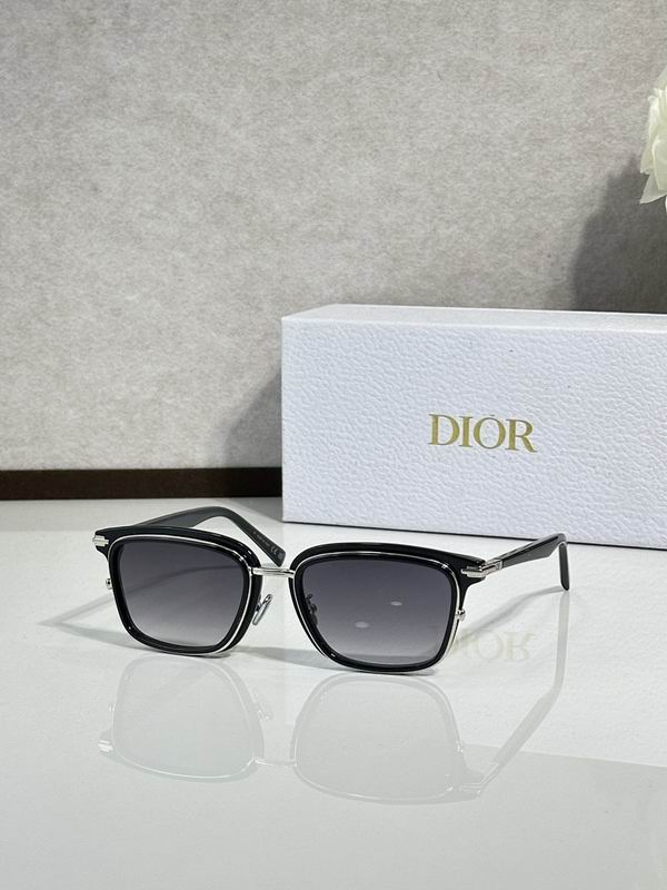 Dior Glasses smr (63)