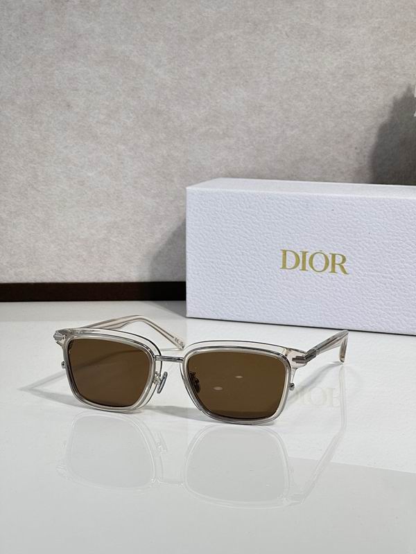 Dior Glasses smr (64)