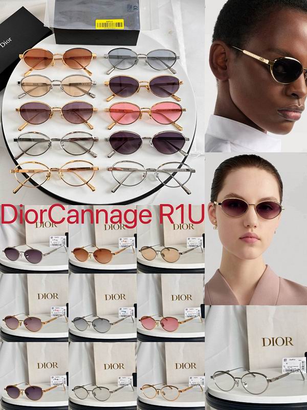 Dior Glasses smr (662)