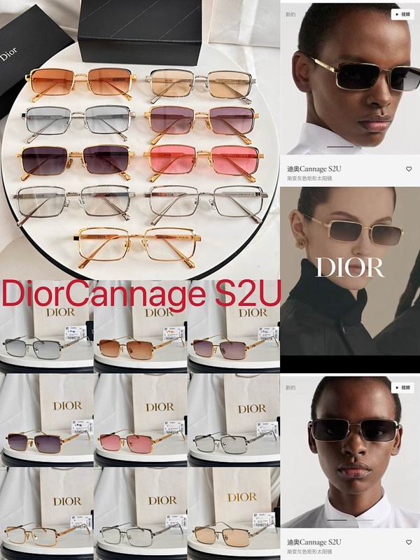 Dior Glasses smr (672)
