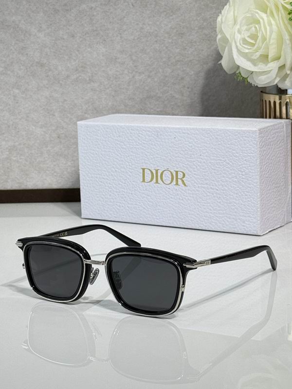Dior Glasses smr (70)