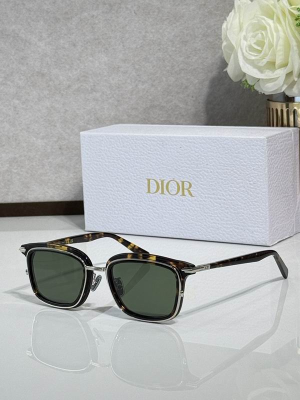 Dior Glasses smr (71)