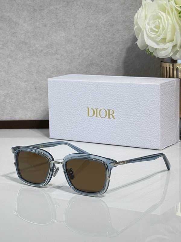 Dior Glasses smr (72)