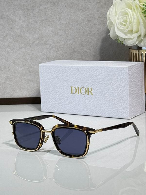 Dior Glasses smr (73)