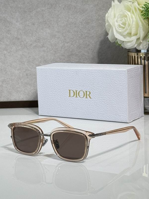 Dior Glasses smr (74)