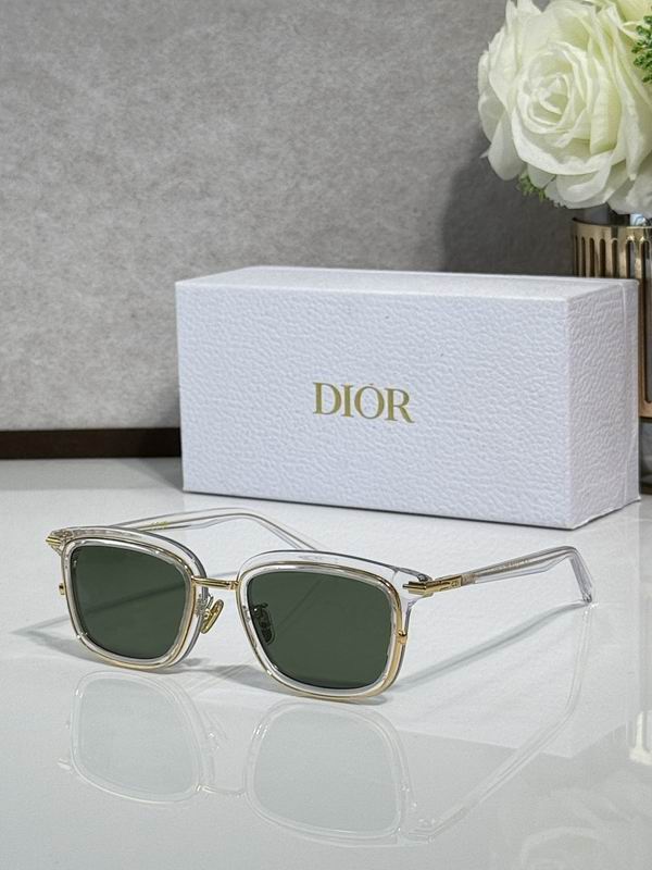 Dior Glasses smr (77)