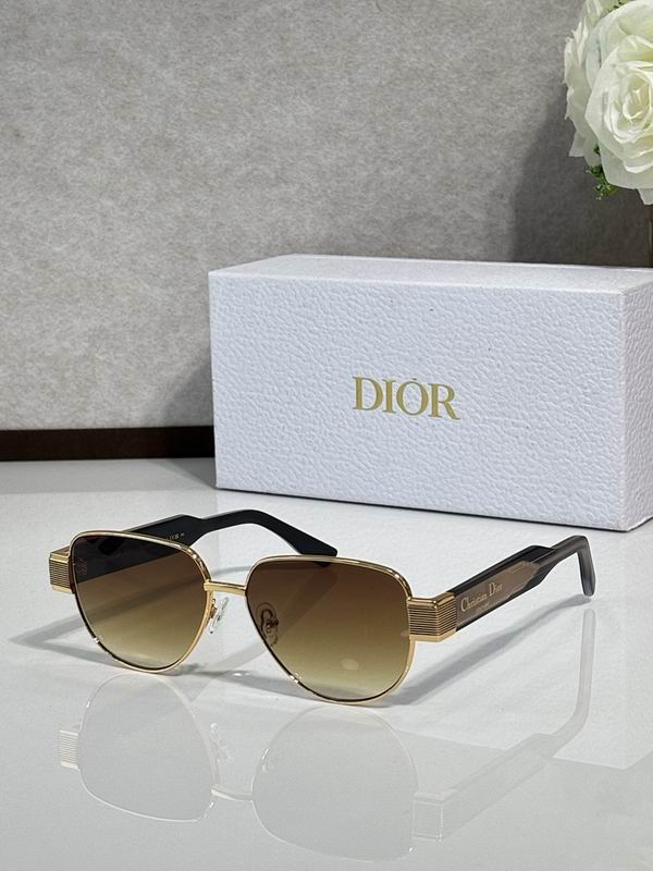 Dior Glasses smr (785)