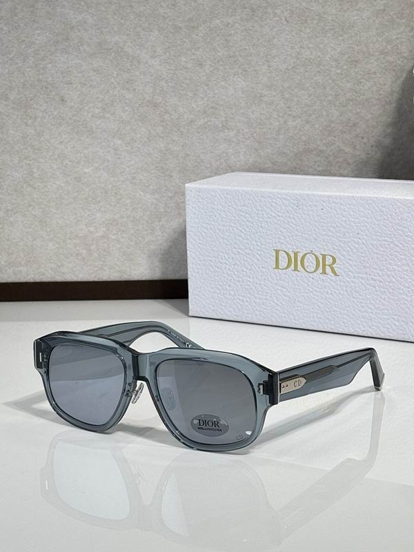 Dior Glasses smr (807)