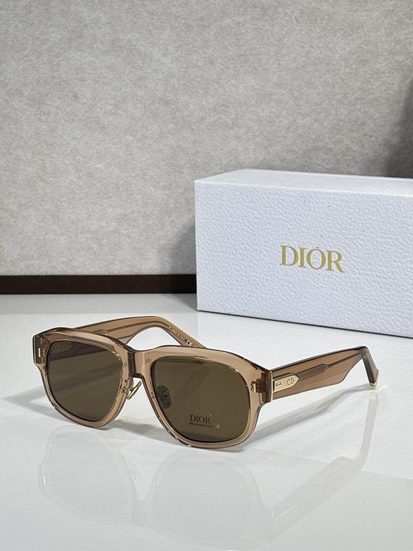 Dior Glasses smr (809)