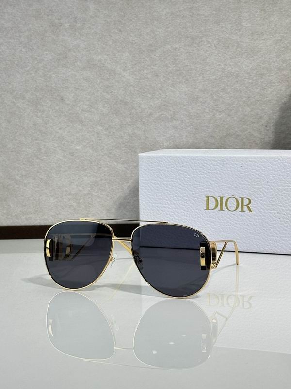 Dior Glasses smr (81)