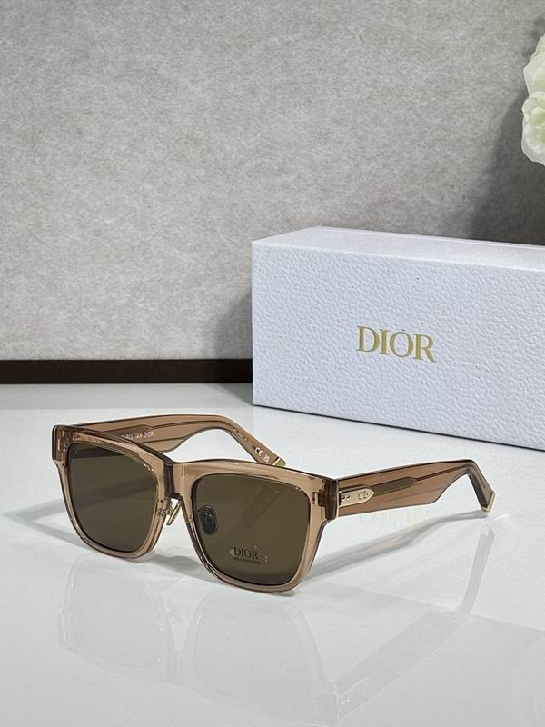 Dior Glasses smr (817)