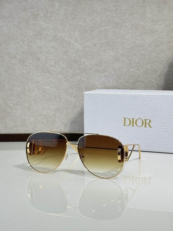 Dior Glasses smr (82)