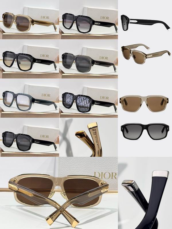 Dior Glasses smr (823)