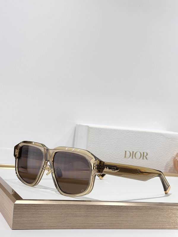 Dior Glasses smr (824)