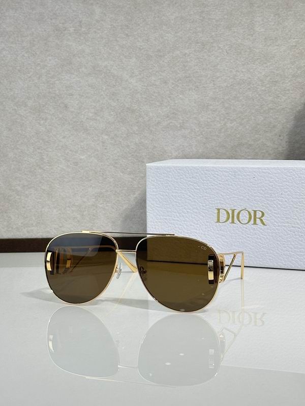 Dior Glasses smr (83)