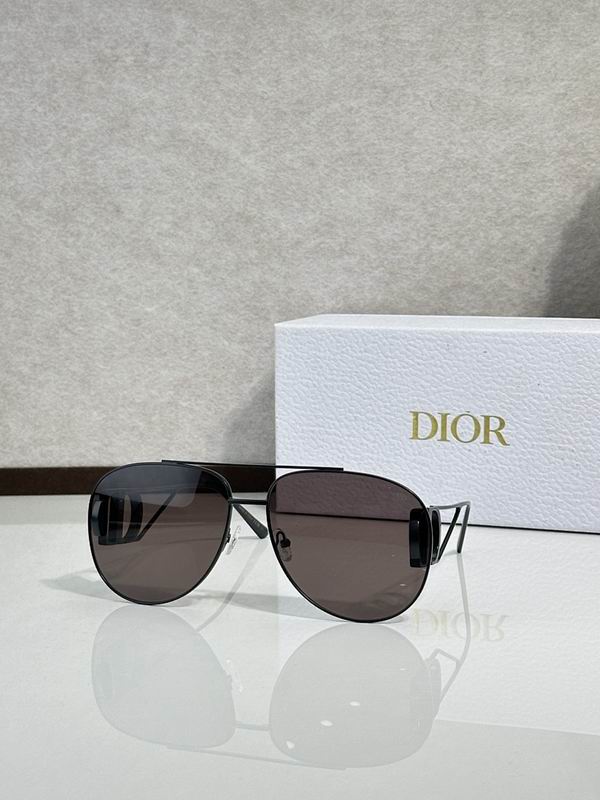 Dior Glasses smr (86)