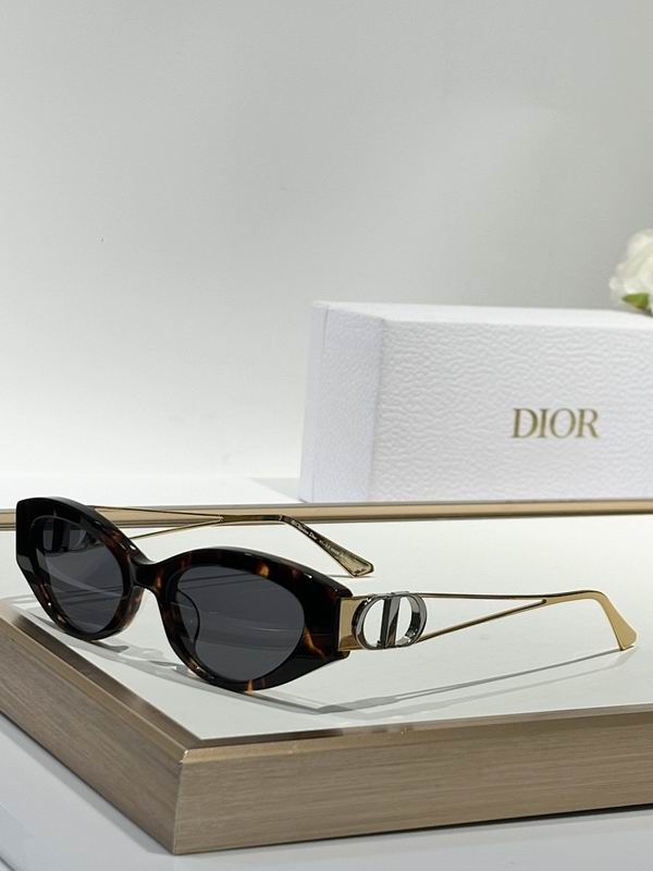 Dior Glasses smr (864)
