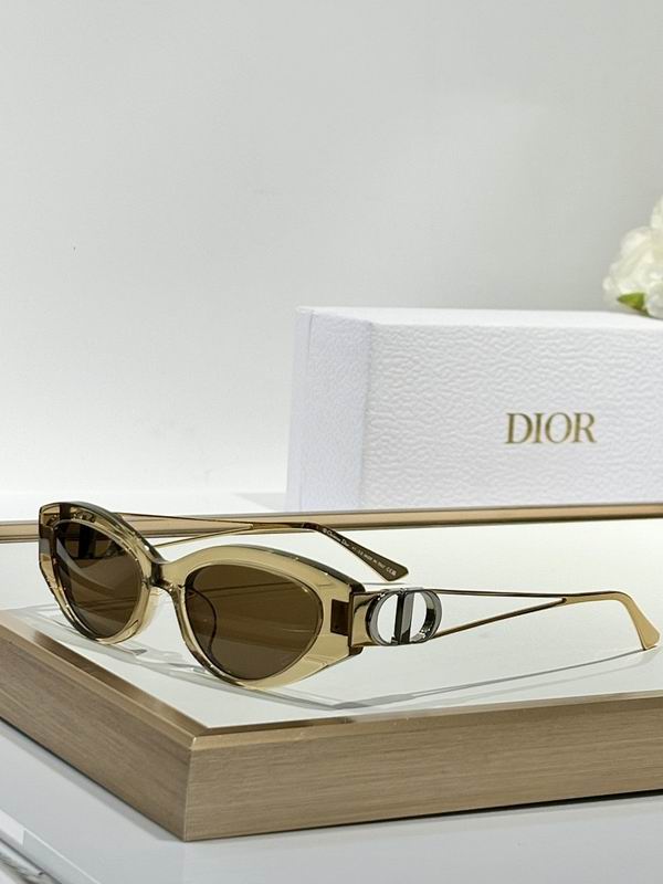 Dior Glasses smr (865)