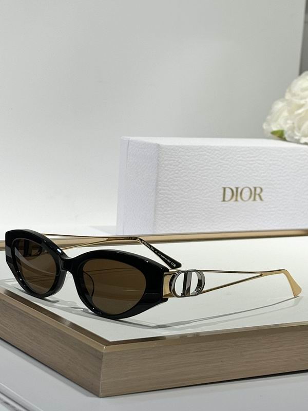 Dior Glasses smr (868)