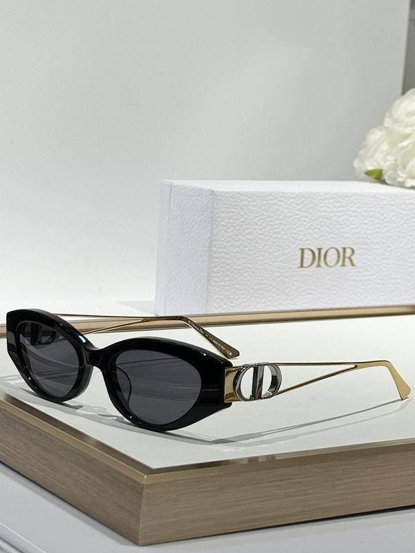 Dior Glasses smr (869)