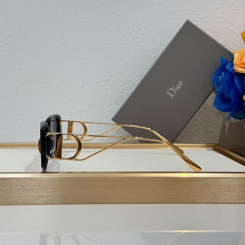 Dior Glasses smr (9)