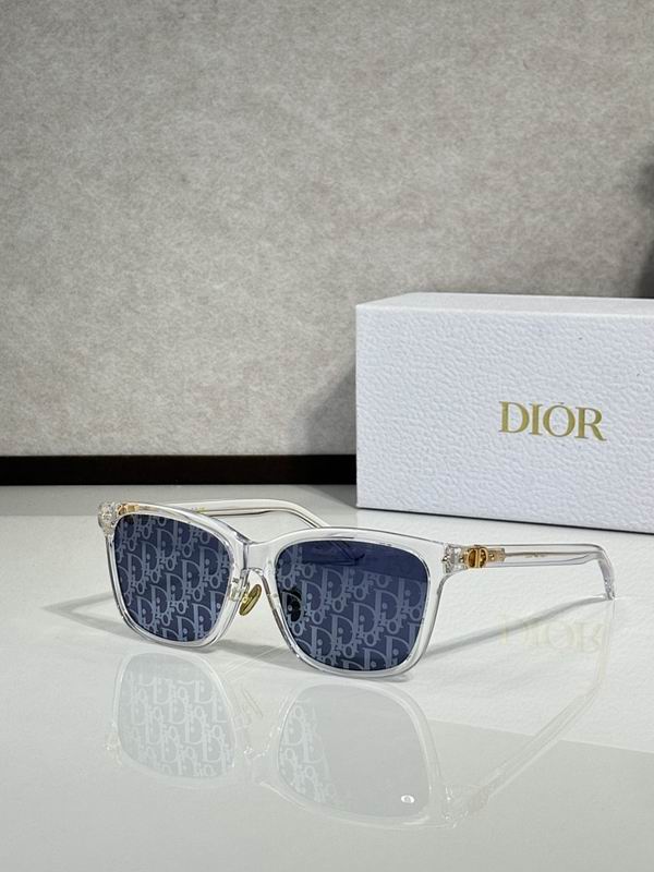 Dior Glasses smr (919)