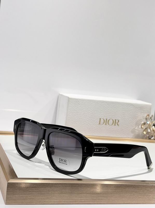 Dior Glasses smr (924)