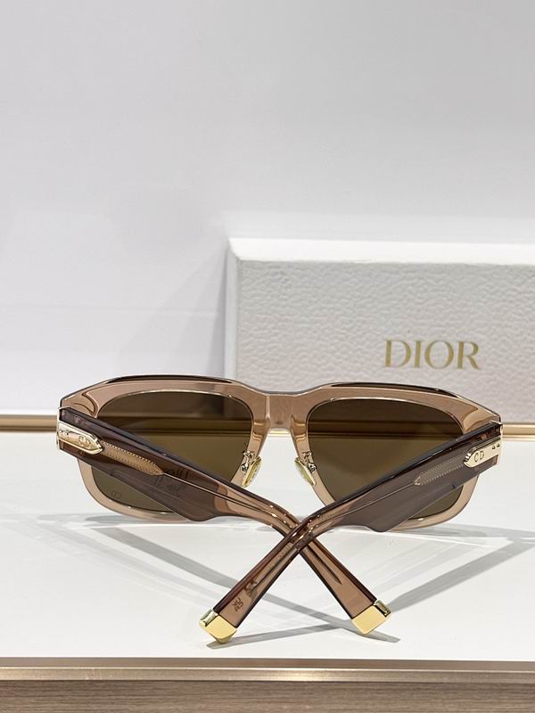 Dior Glasses smr (931)