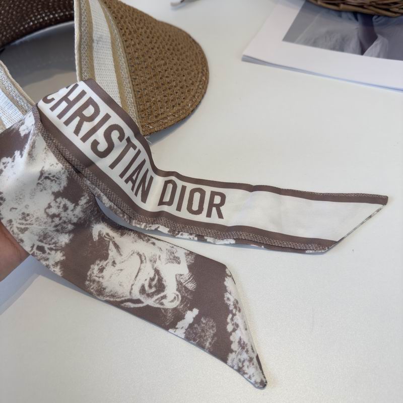 Dior Visor dx (49)