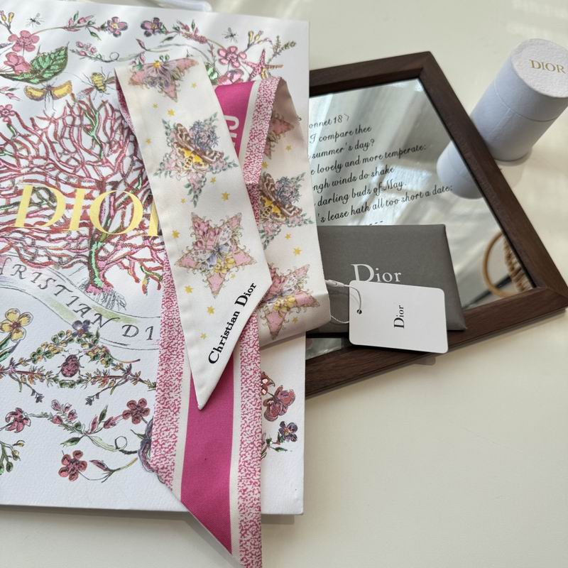 Dior silk ribbon 6X100cm E03 (29)