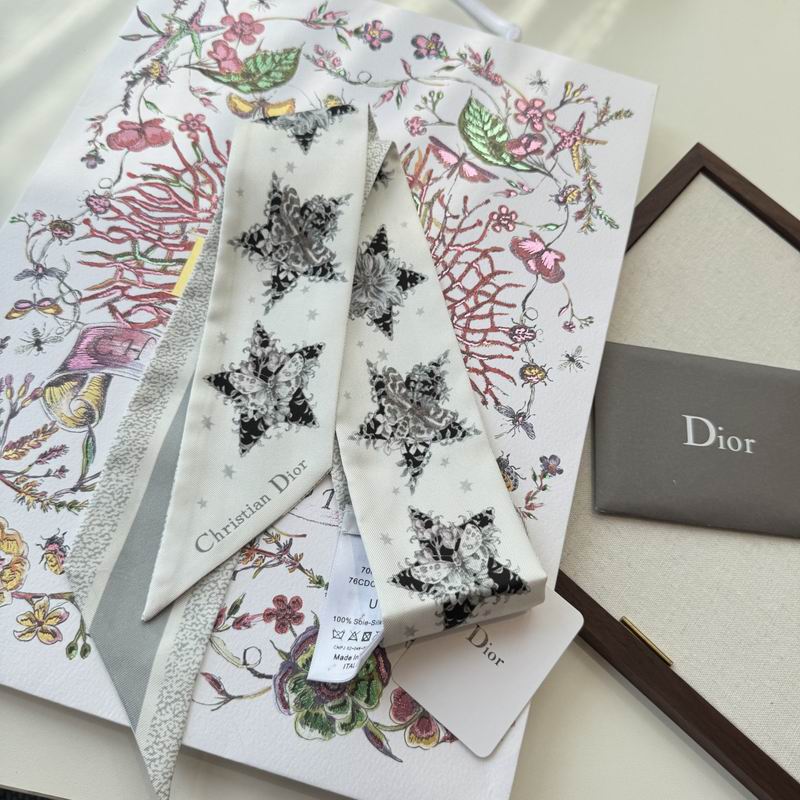 Dior silk ribbon 6X100cm E03 (5)