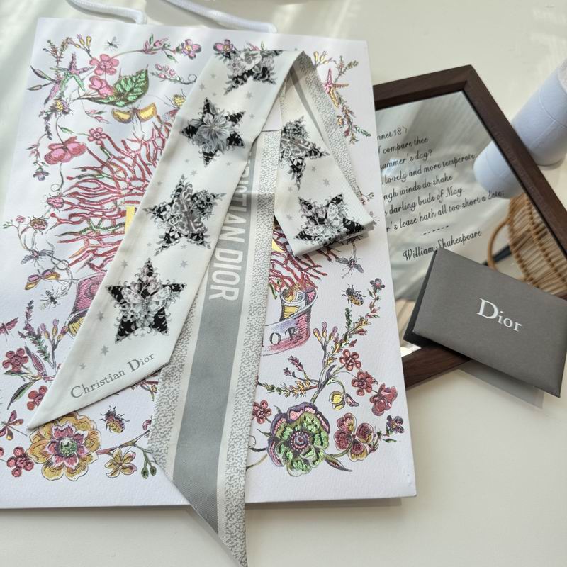 Dior silk ribbon 6X100cm E03 (8)