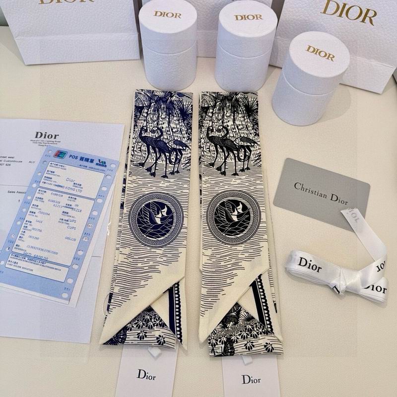 Dior silk ribbon hm (103)
