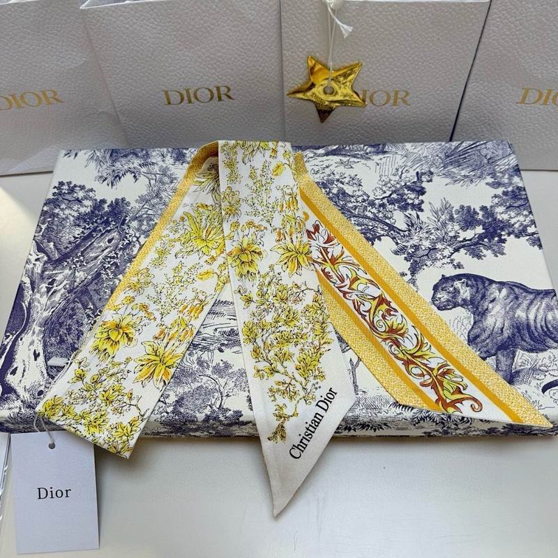 Dior silk ribbon hm (170)