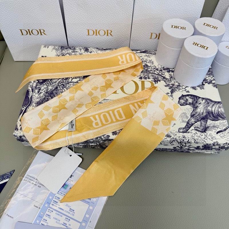 Dior silk ribbon hm (174)