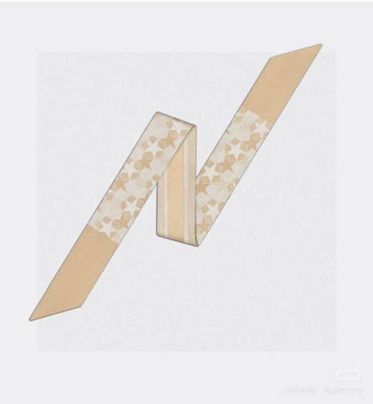 Dior silk ribbon hm (176)