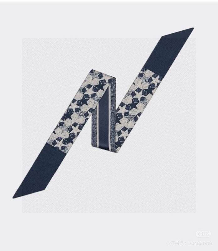 Dior silk ribbon hm (180)