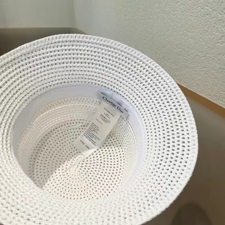 Dior top hat (529)