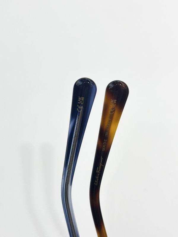 Ferragamo Glasses sms (126)