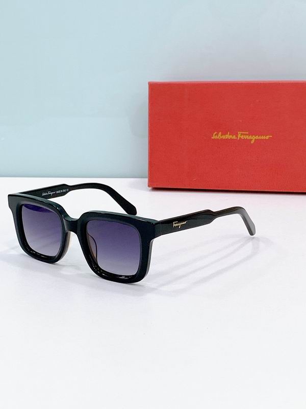 Ferragamo Glasses sms (155)