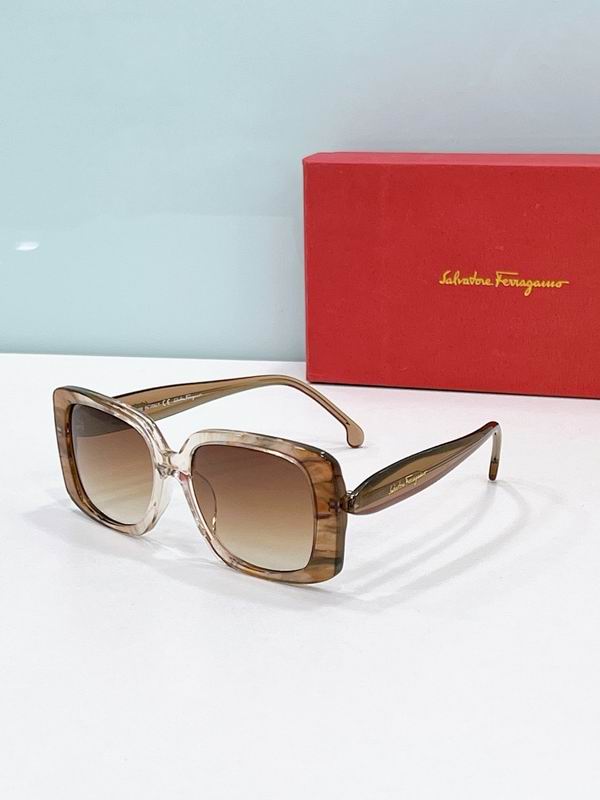 Ferragamo Glasses sms (30)