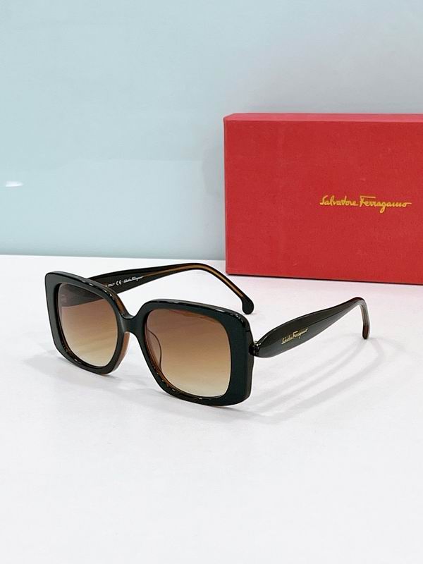 Ferragamo Glasses sms (31)